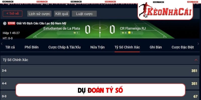 Dự đoán tỷ số